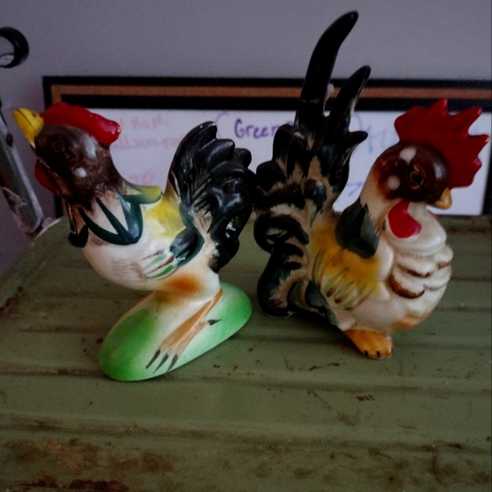 Chicken and rooster